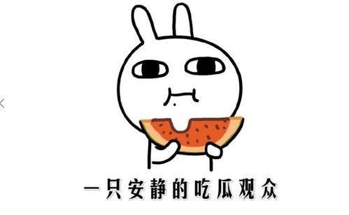 吃瓜事件小网红是谁呀,小网红身份大揭秘