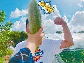 网红正能量吃瓜视频,传递美好，共享快乐时光